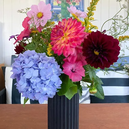 Cozy Near Hvidbjerg בורקופ