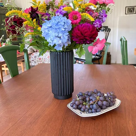 בית נופש Cozy Near Hvidbjerg בורקופ