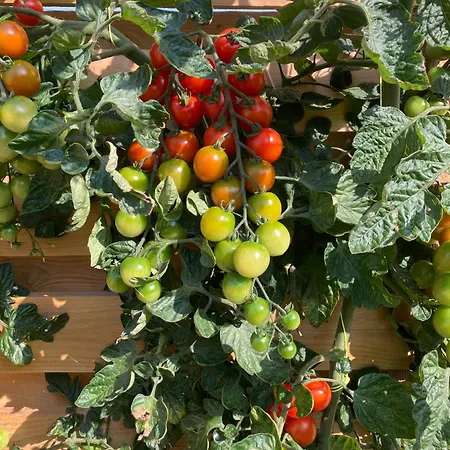 בית נופש Cozy Near Hvidbjerg